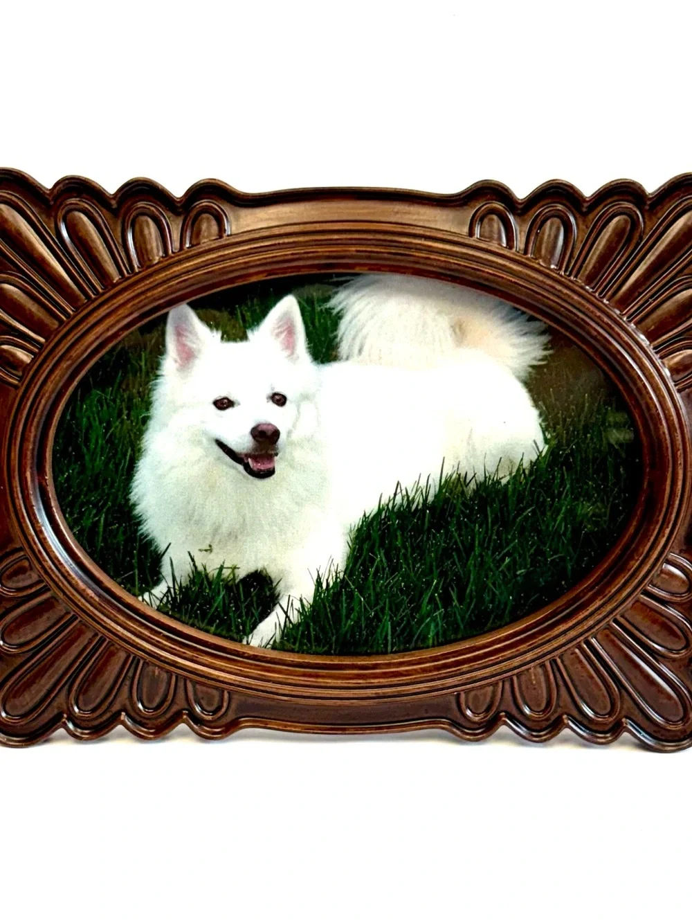 Drexel Heritage rick wood look Brown Scalloped Design Oval Picture Frame 4x6